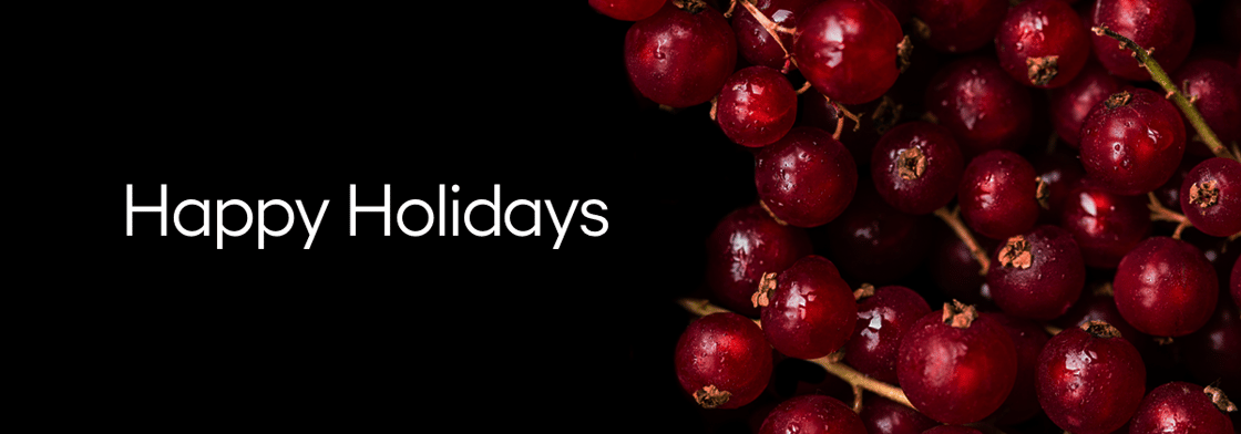 V2-Happy Holidays-email